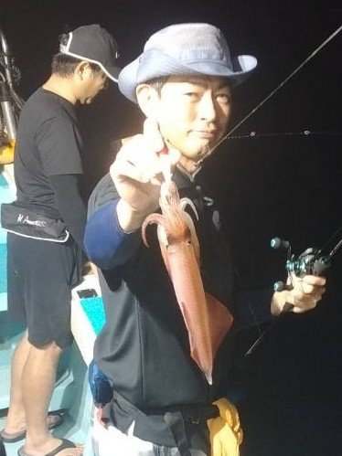 イカ(ヤリイカ)