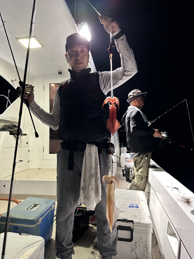 イカ(ヤリイカ)