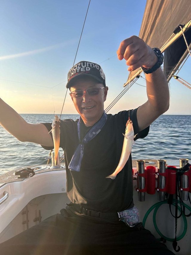 キス(シロギス)