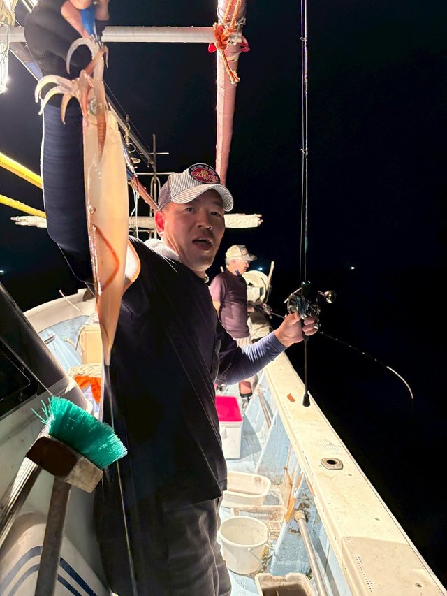 マイカ(ケンサキイカ)