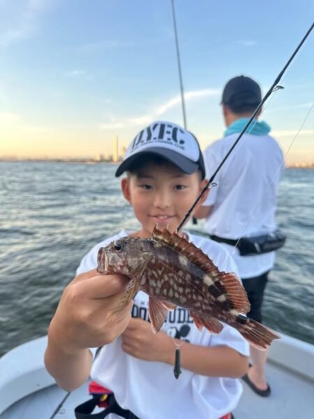 アコウ(キジハタ)