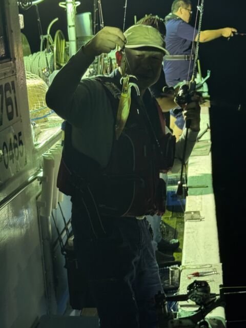 マイカ(ケンサキイカ)