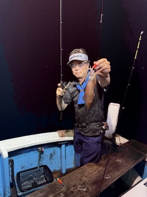 マイカ(ケンサキイカ)