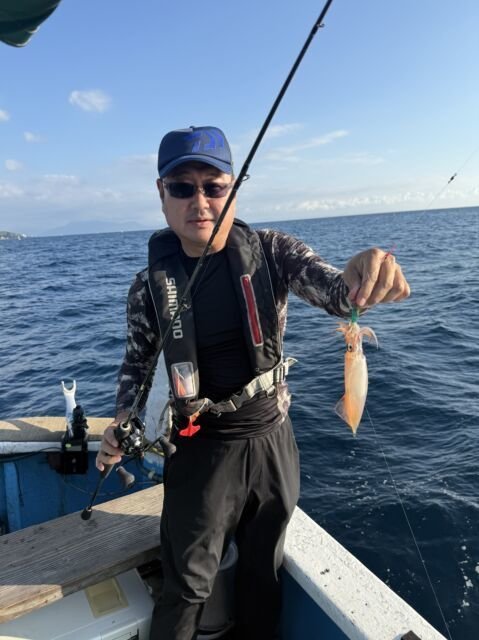 マイカ(ケンサキイカ)