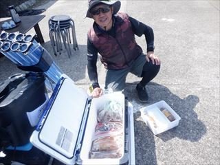 スルメ(スルメイカ)