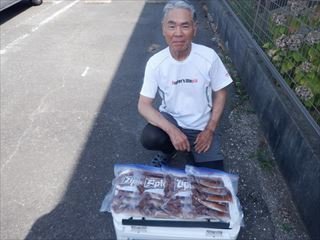 スルメ(スルメイカ)