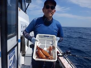 スルメ(スルメイカ)