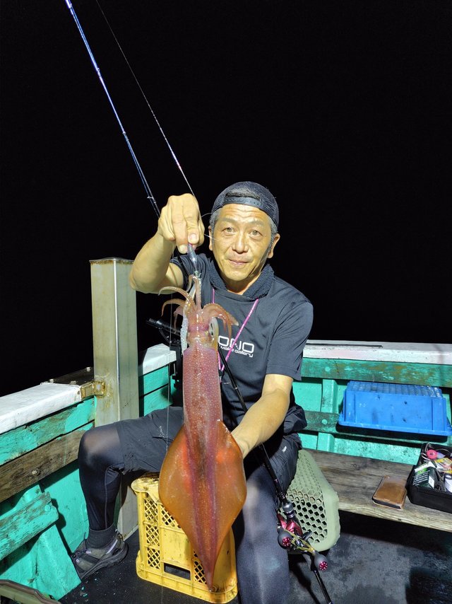 シロイカ(ケンサキイカ)