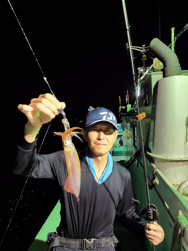 シロイカ(ケンサキイカ)