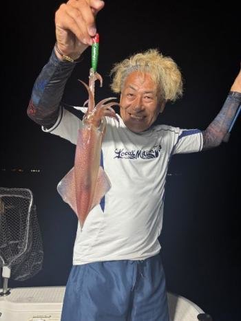 マイカ(ケンサキイカ)