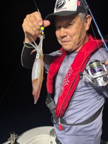 マイカ(ケンサキイカ)