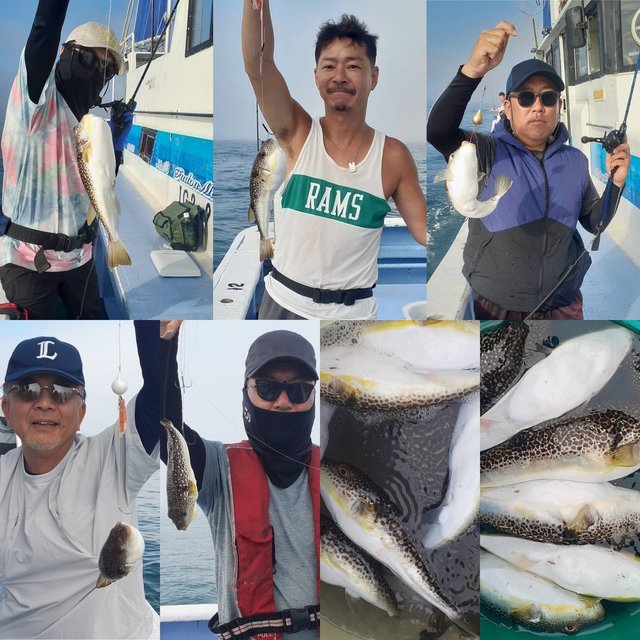 ショウサイフグ