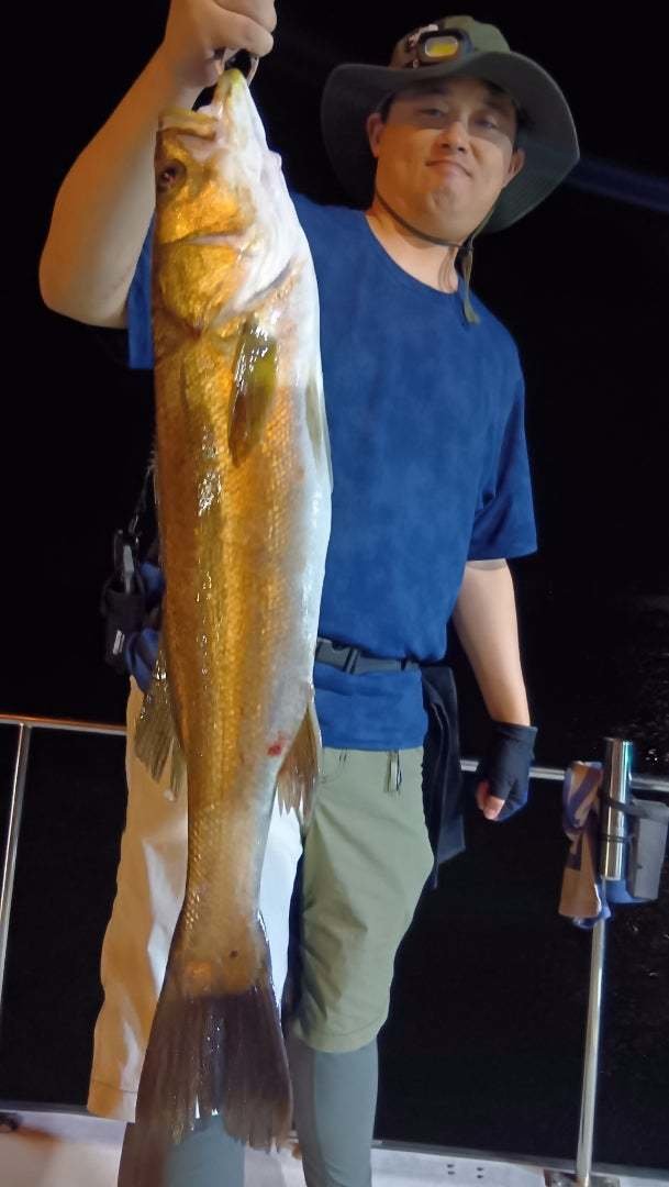 シーバス(スズキ)