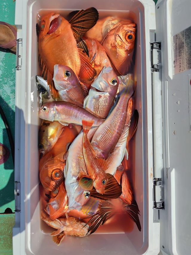 アマダイ(アカアマダイ)・チカメキントキ