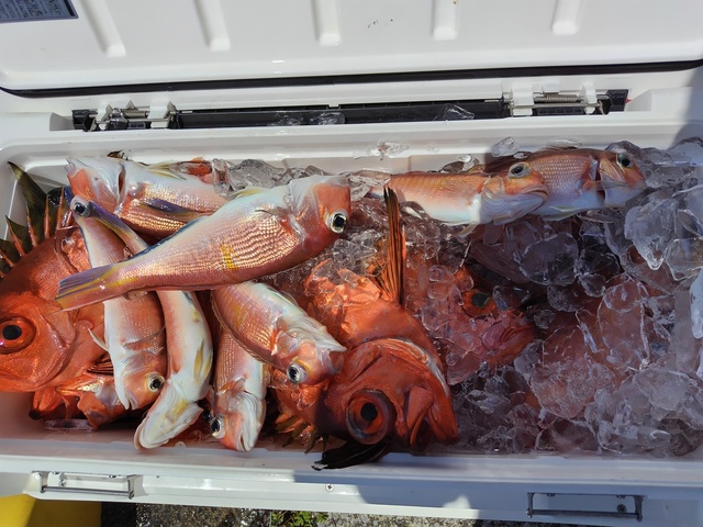 アマダイ(アカアマダイ)・チカメキントキ