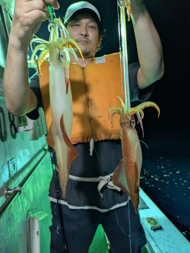 イカ(ケンサキイカ)