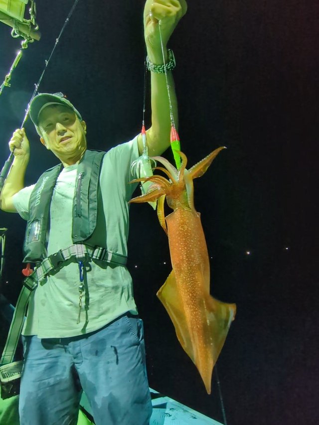 イカ(ケンサキイカ)