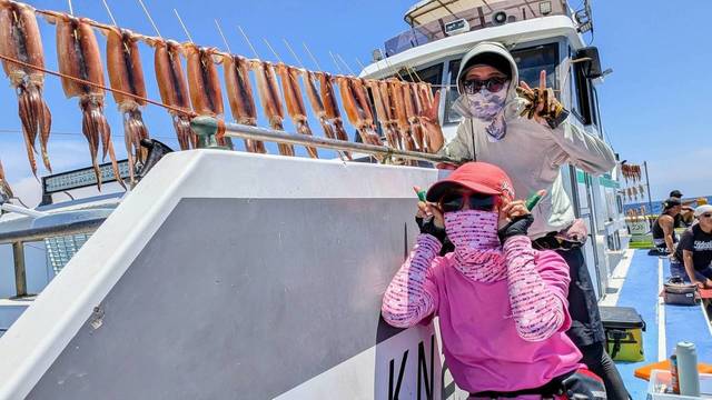 スルメ(スルメイカ)