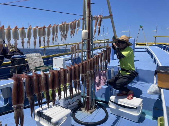 スルメ(スルメイカ)