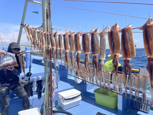 スルメ(スルメイカ)