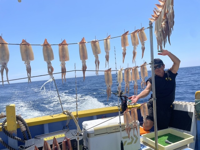 スルメ(スルメイカ)