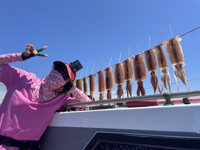 スルメ(スルメイカ)