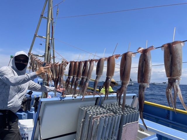 スルメ(スルメイカ)