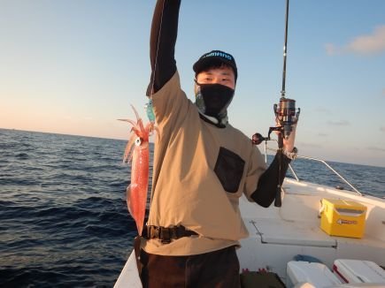 シロイカ(ケンサキイカ)