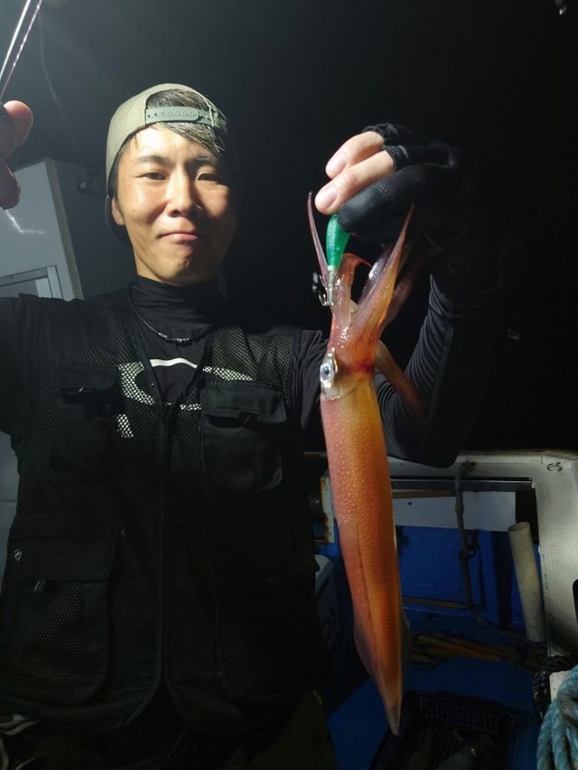 シロイカ(ケンサキイカ)