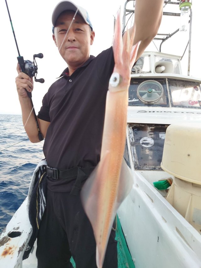 シロイカ(ケンサキイカ)