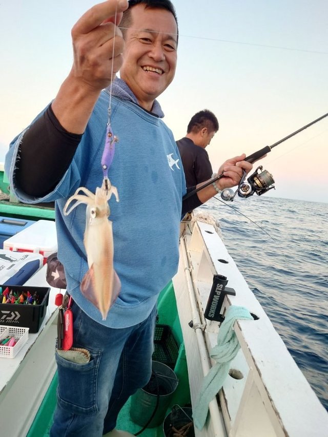 シロイカ(ケンサキイカ)