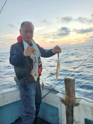 イカ(ケンサキイカ)