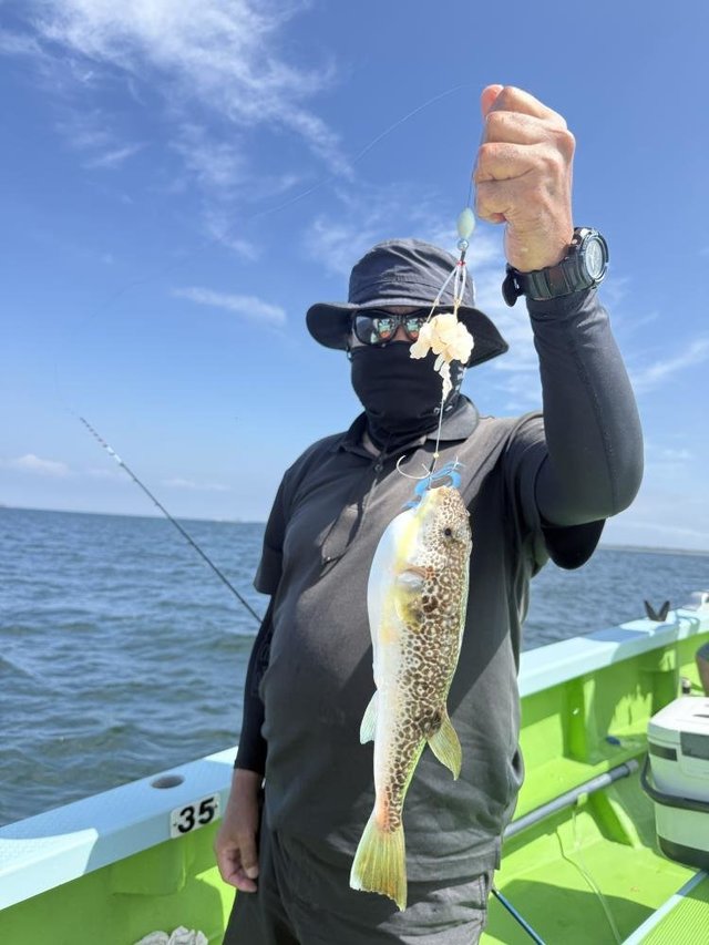 フグ(ショウサイフグ)