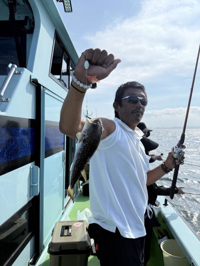 フグ(ショウサイフグ)