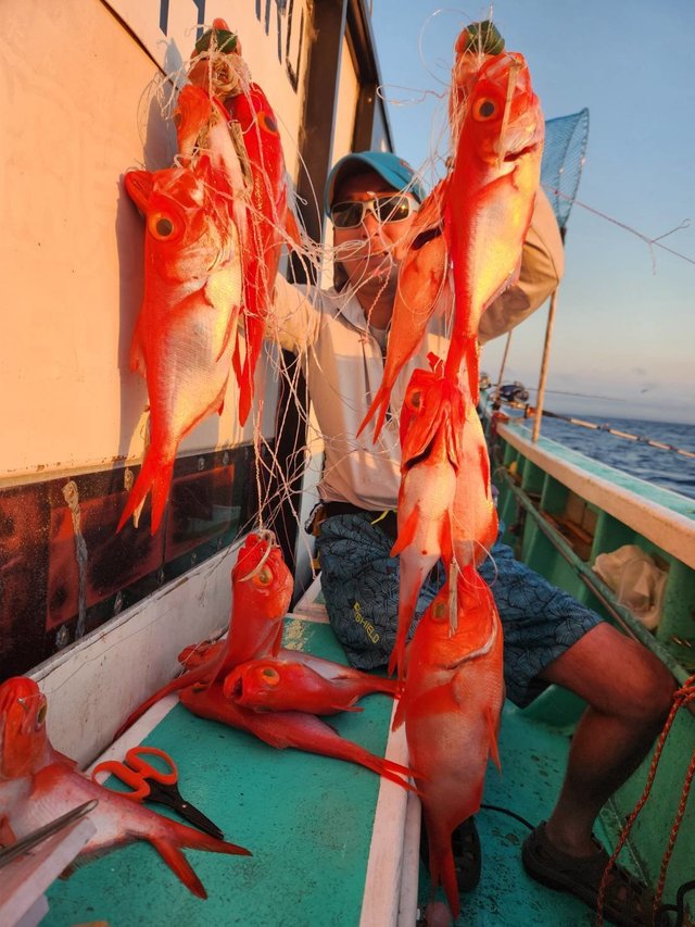 キンメ(キンメダイ)