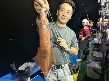 マイカ(ケンサキイカ)