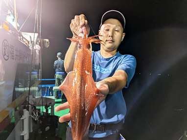 マイカ(ケンサキイカ)