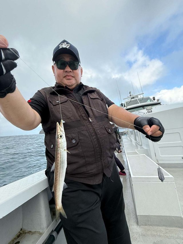 カマス(アカカマス)