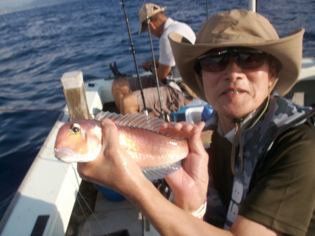 アマダイ(アカアマダイ)