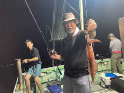 アカイカ(ケンサキイカ)