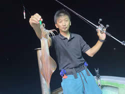 アカイカ(ケンサキイカ)