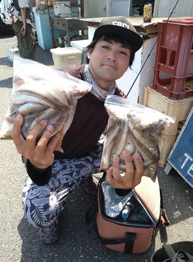 キス(シロギス)