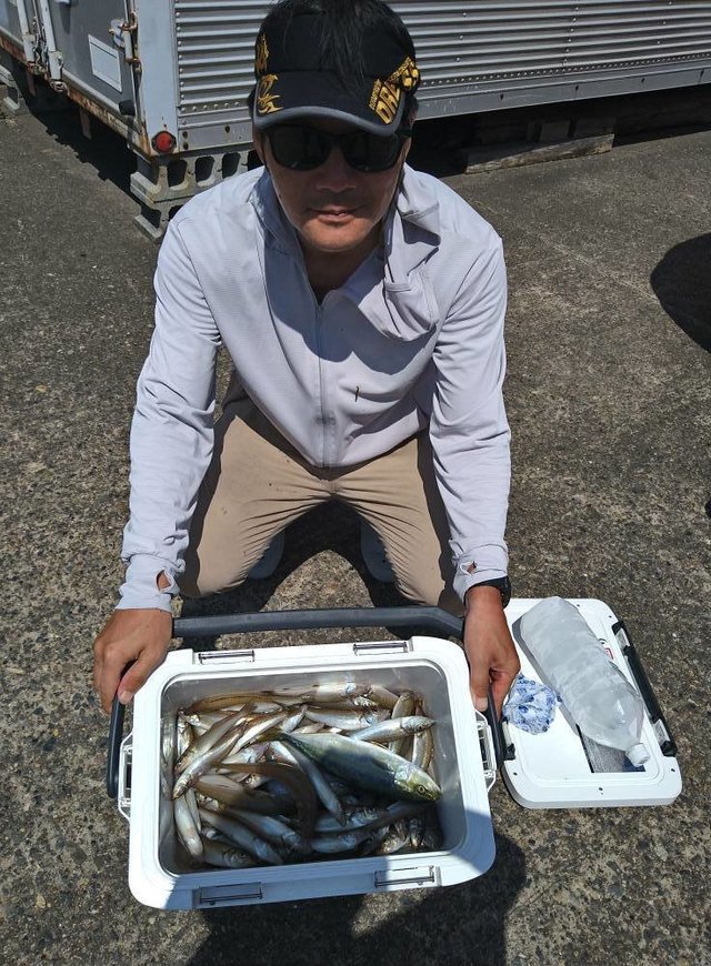 キス(シロギス)