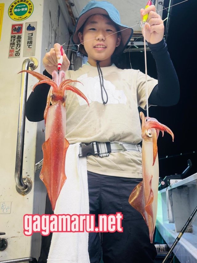 イカ(ケンサキイカ)