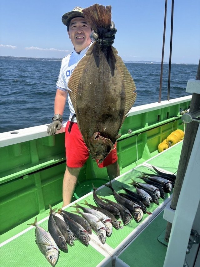 アジ(マアジ)・ヒラメ