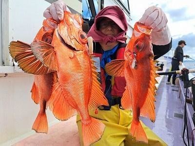 キントキ(チカメキントキ)