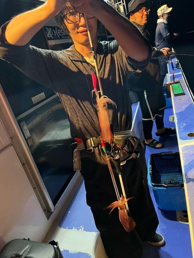 マルイカ(ケンサキイカ)