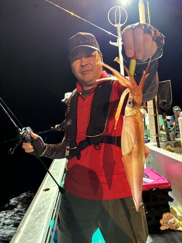 アカイカ(ケンサキイカ)