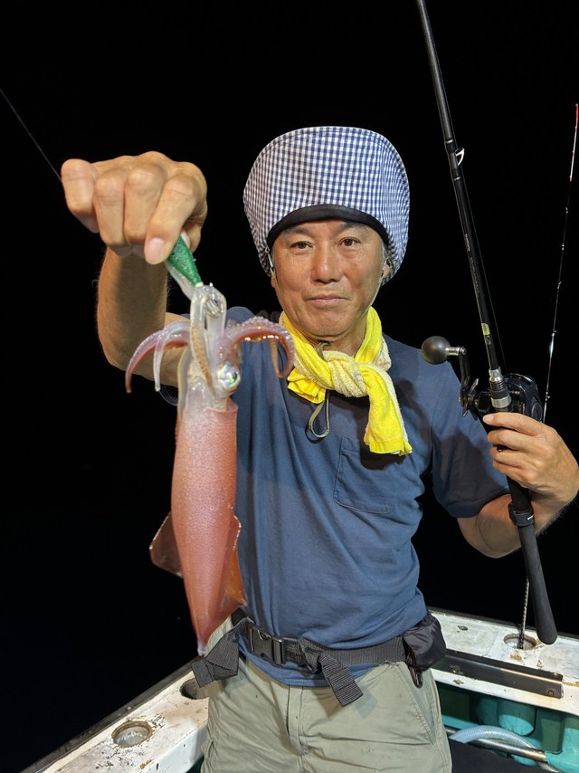 アカイカ(ケンサキイカ)