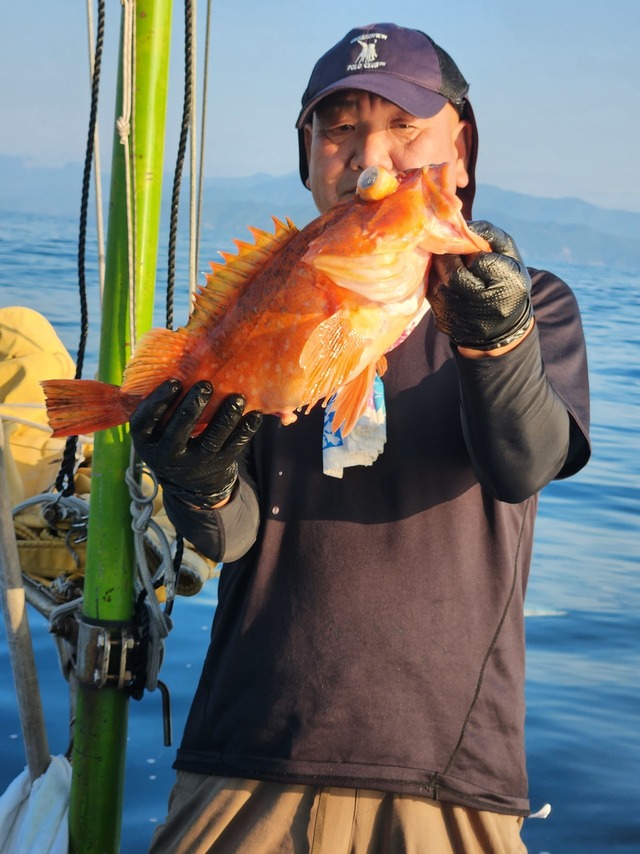 ウッカリカサゴ